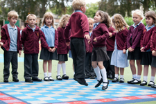 Fox Cub caught in Cricket nets