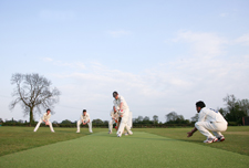 Fox Cub caught in Cricket nets