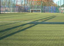 Fox Cub caught in Cricket nets