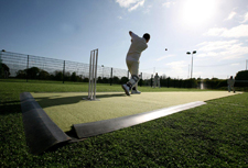 Fox Cub caught in Cricket nets